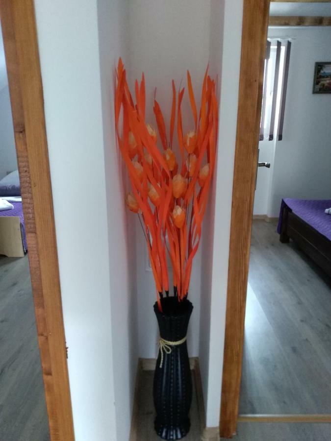 Apartman Nina Licko Petrovo Selo Exterior photo